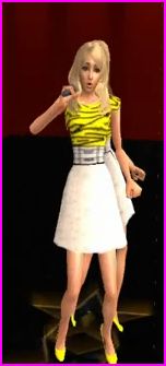 sims concert.JPG